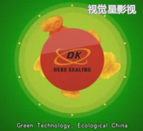 德克密封技術(shù)有限公司英文版